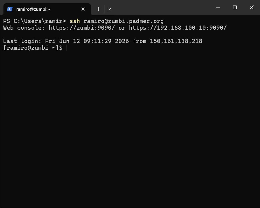 Nova conexão, a partir do Windows