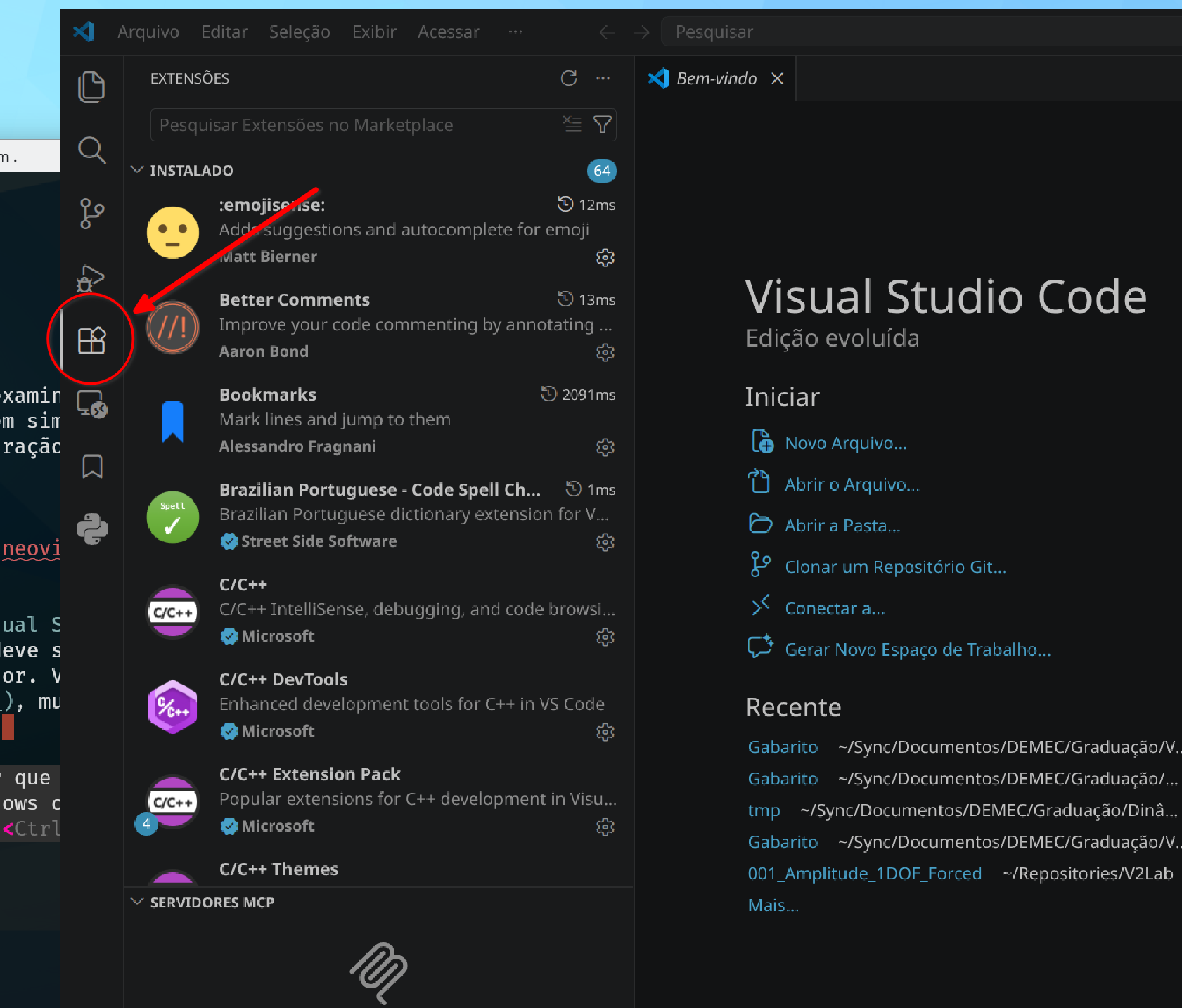 VS Code extensions